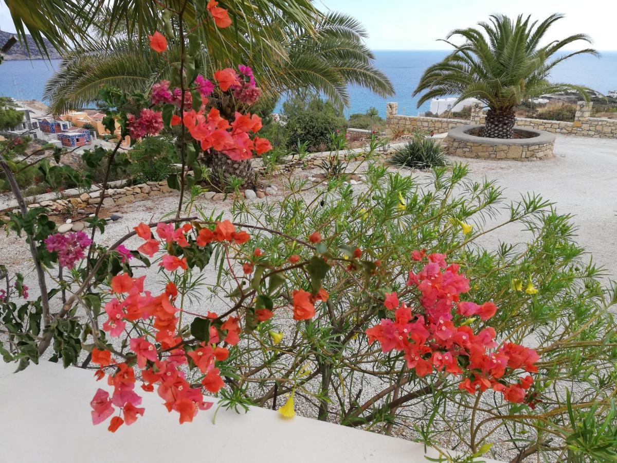 Tranquil Villa With Sea View In Ammopi Karpathos อาโมปี ภายนอก รูปภาพ