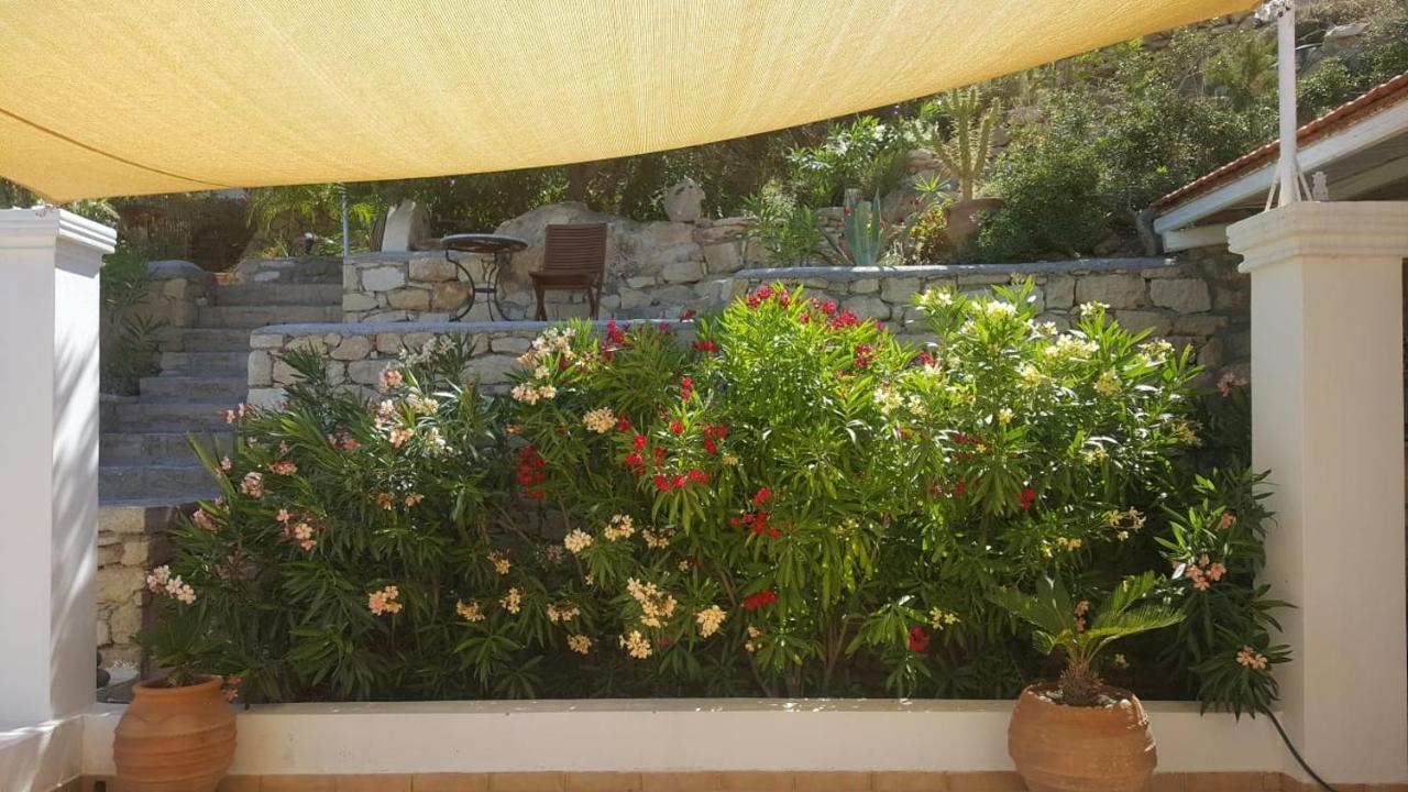 Tranquil Villa With Sea View In Ammopi Karpathos อาโมปี ภายนอก รูปภาพ