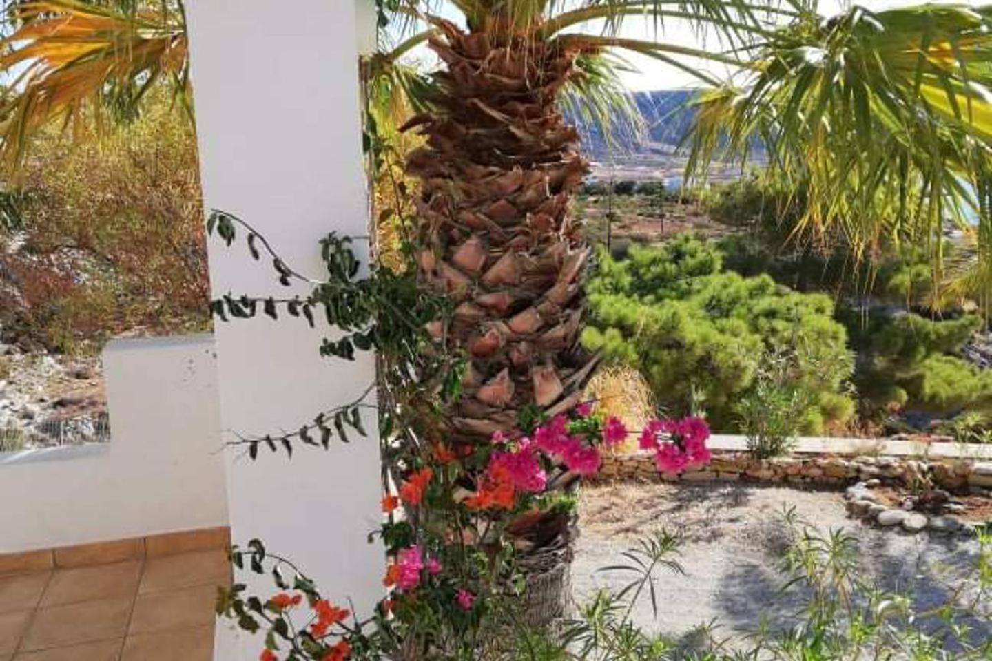 Tranquil Villa With Sea View In Ammopi Karpathos อาโมปี ภายนอก รูปภาพ